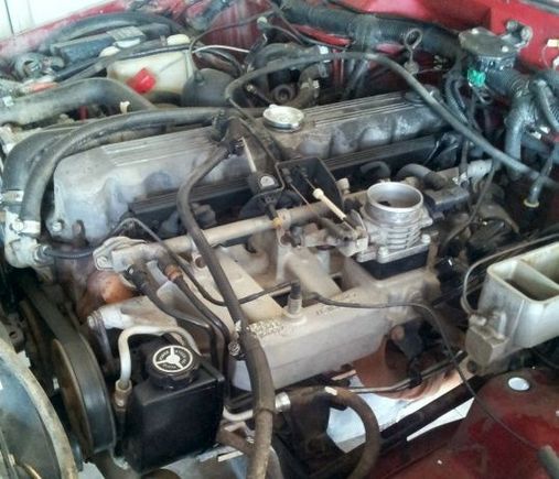 engine bay before tearing the manifold out