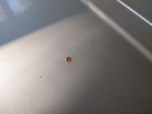 small spot on hood