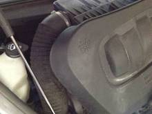 Maybe just the Woolley worm 