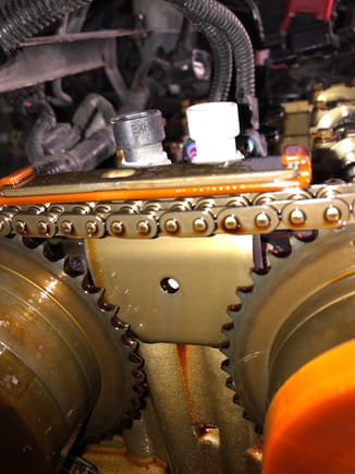 This stretched timing chain, from EBay, a cheap $35.00 kit. 
Not worth it! It could have cost me the engine! 