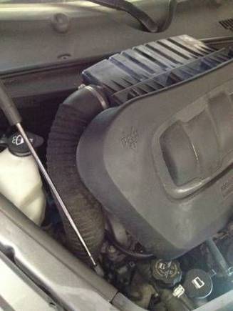 Maybe just the Woolley worm 