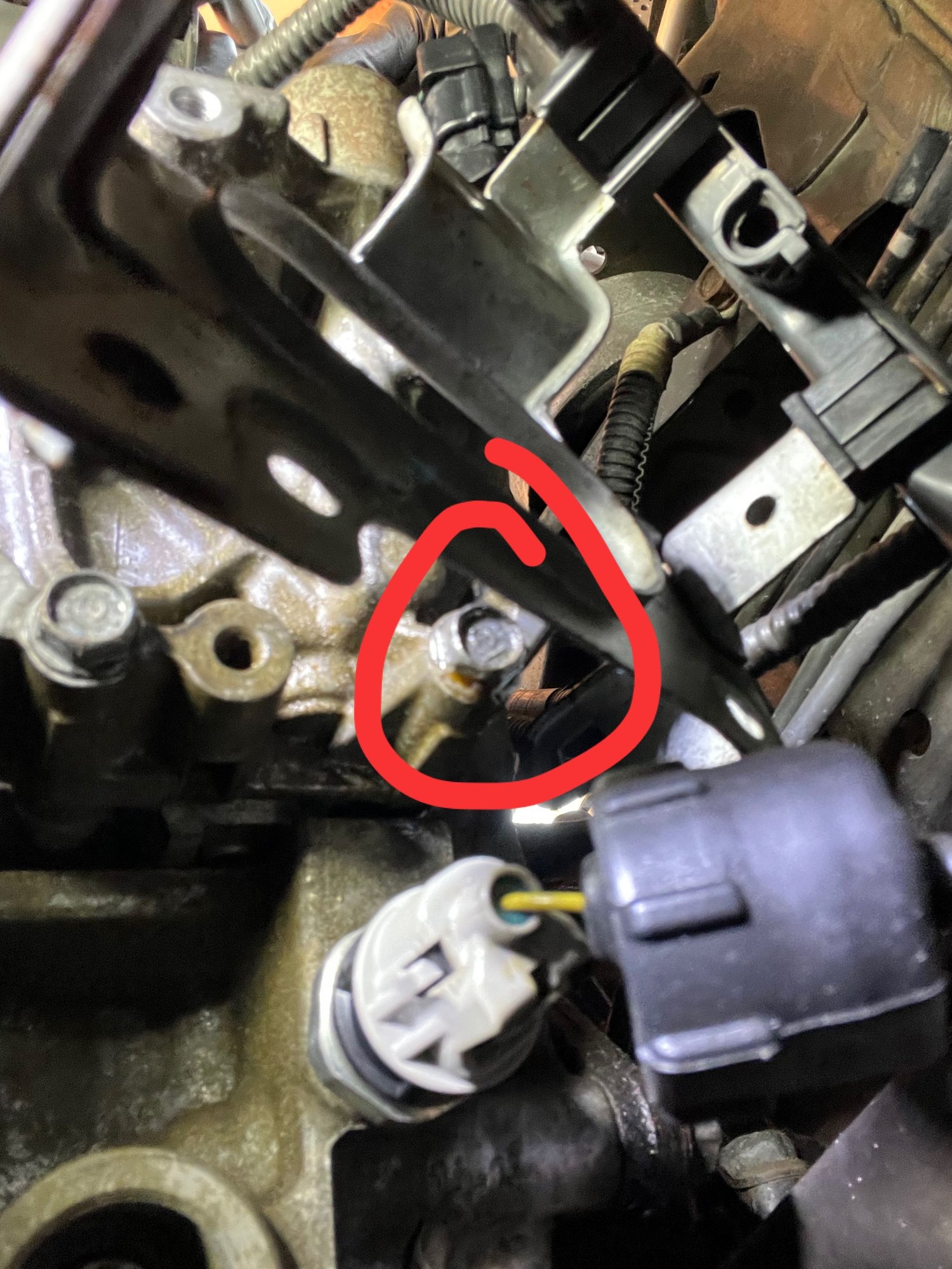 After test drive showing some oil 