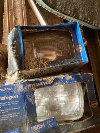 New lights, mildewed boxes