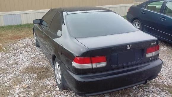 Look! no holes in the trunk!