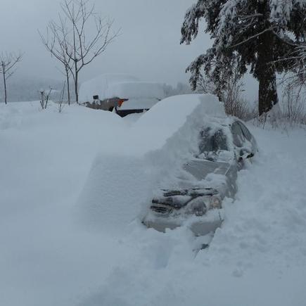 Winter2015