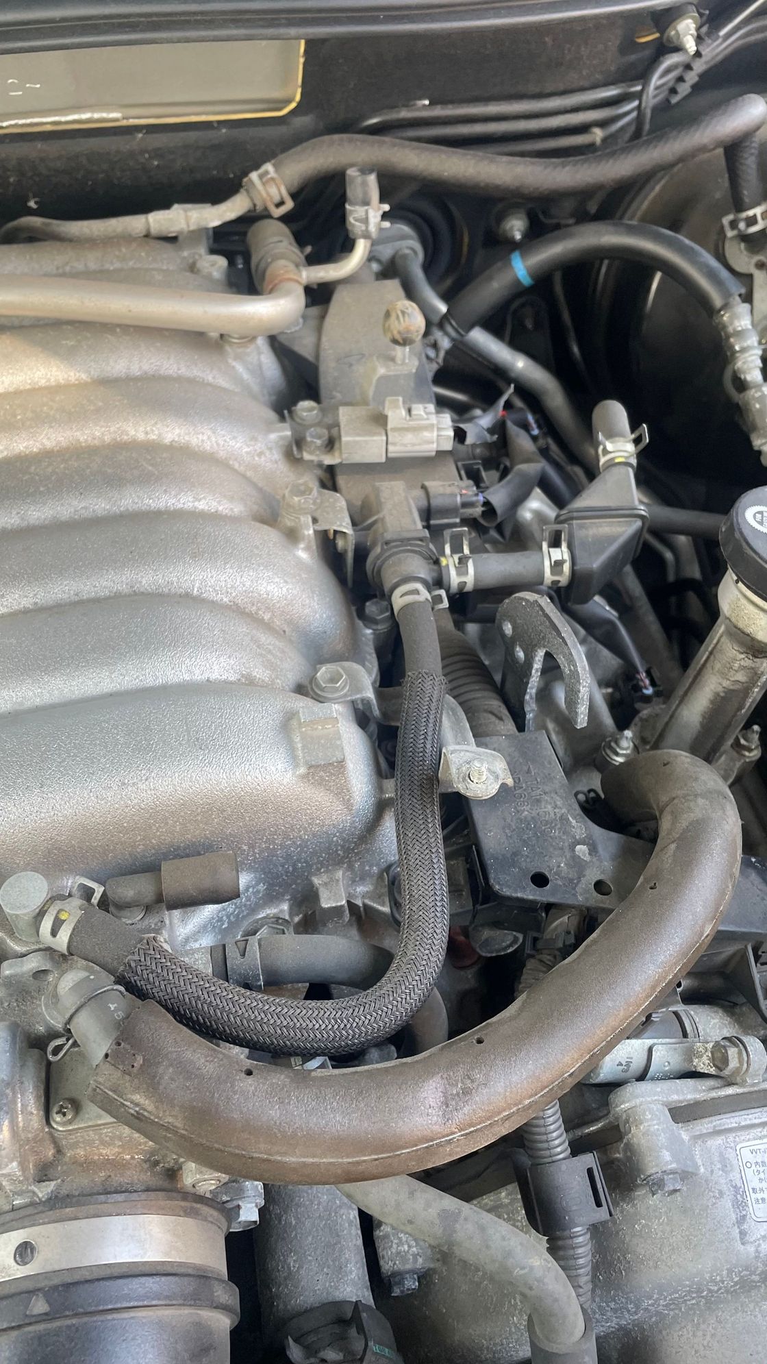 Help! Ls430 engine cover! ClubLexus Lexus Forum Discussion