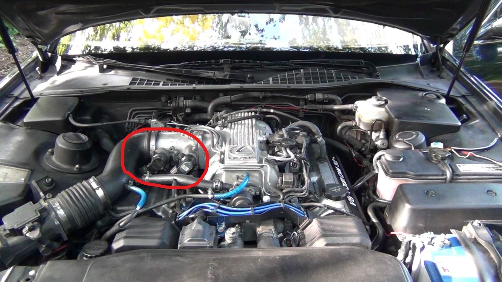 Low idle problems/Question about EGR Valve and IACV Page 2 ClubLexus Lexus Forum Discussion