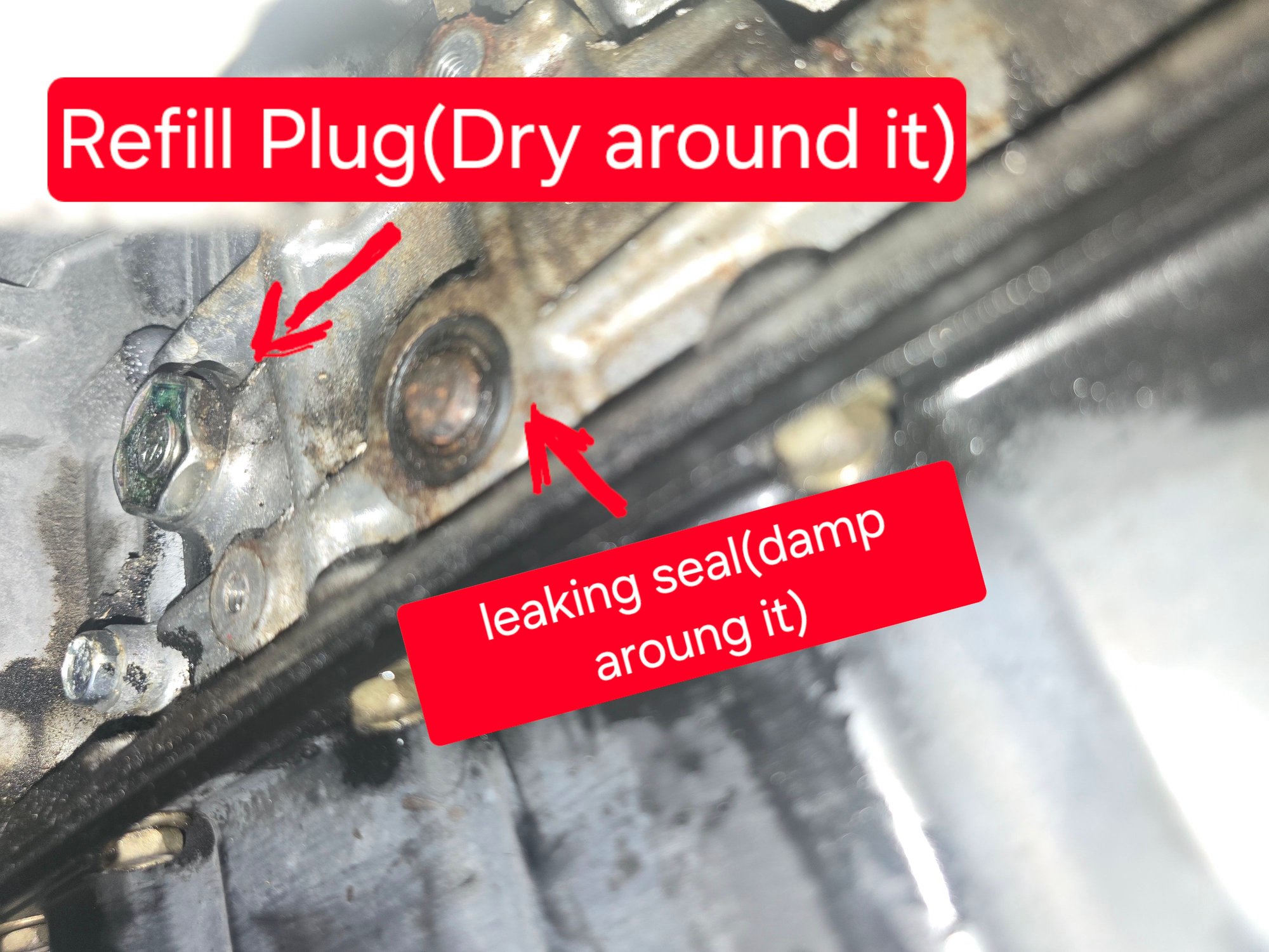 The dey refill plug and sweating around the unremovable bolt makes me thing its the bolt.