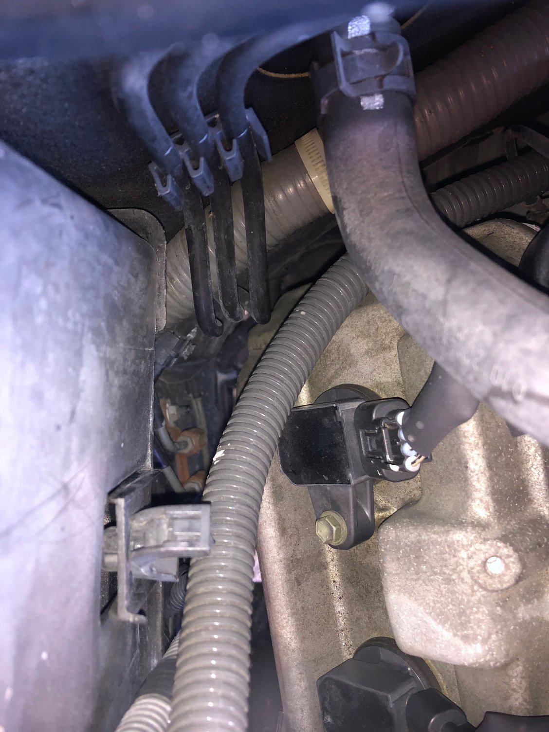AC evaporator drain ClubLexus Lexus Forum Discussion