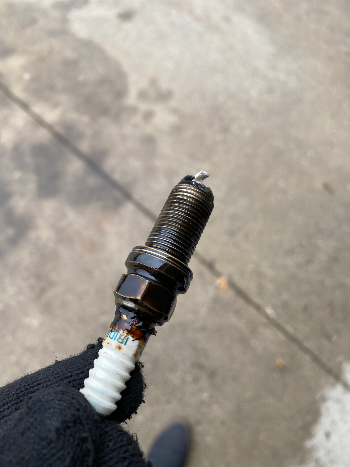 Oil Covered Plugs ClubLexus Lexus Forum Discussion