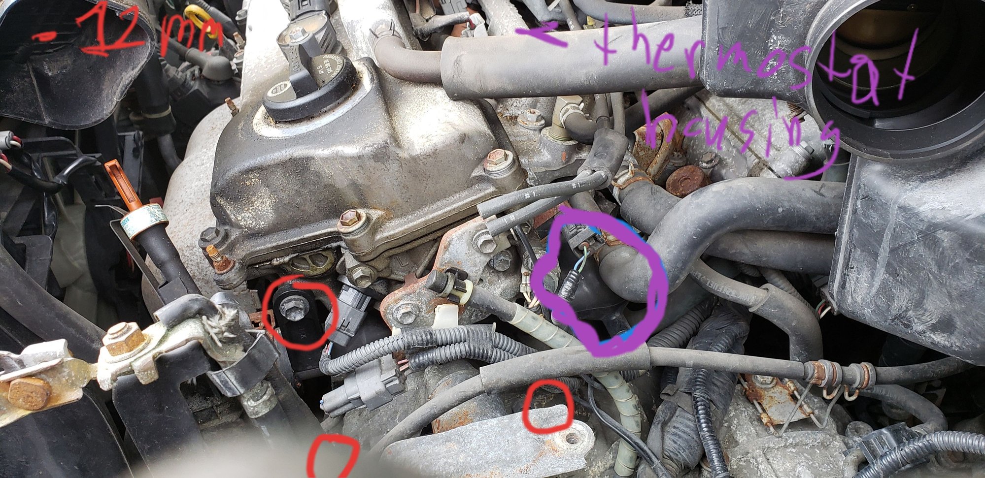 Thermostat DIY with pics ClubLexus Lexus Forum Discussion