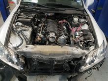 LS3 Is250