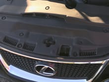 Actual grill on car