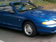 Garage - Blue Stang