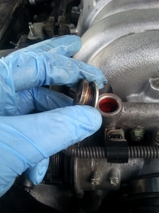 Coolant filling port atop throtlle body assembly.Replace crush washer .