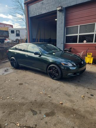 This a two tone color