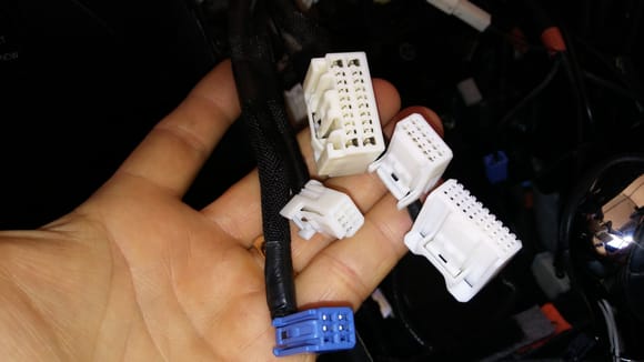 Bundle #1. The only 2 big connectors connect to the PX3 harness.