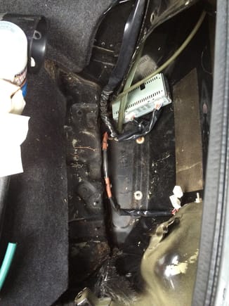 My pass. Side trunk looks like this; so what wiring is it???

It's so annoying; I can't even lock my doors now, 'cus the alarm goes off about every 20min.