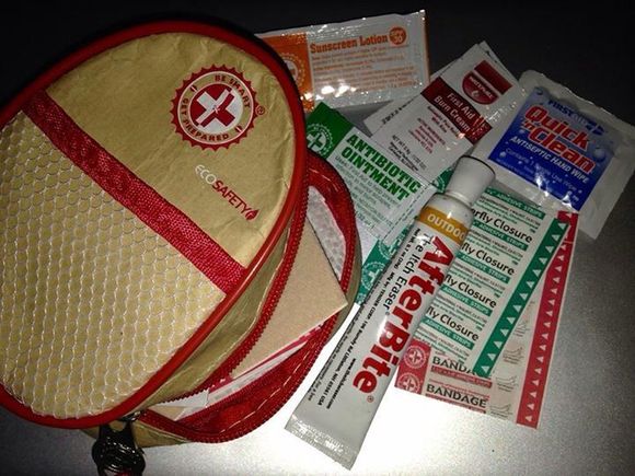 Gonna get a few more items later on; tweezers, a razor, gauze-wrap, etc. As long as it all fits neatly.