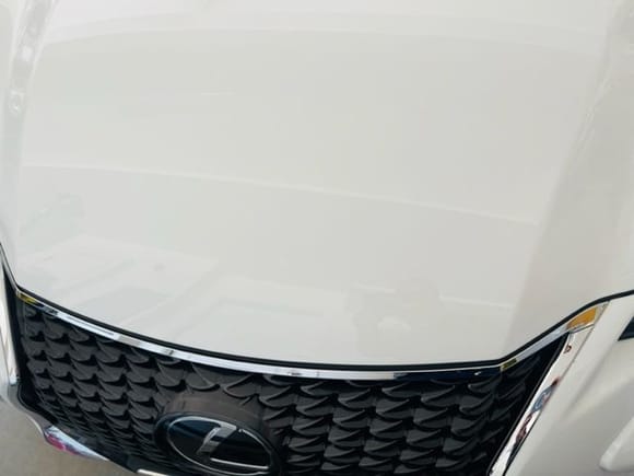 The chrome piece between the grille and hood
