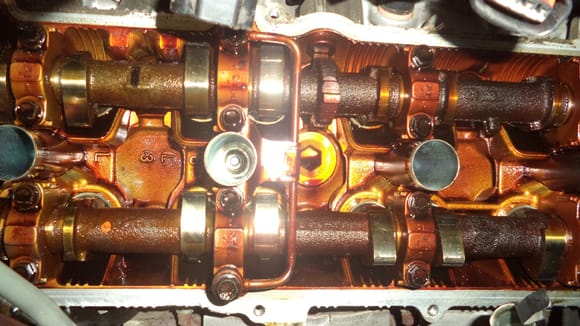 I just replaced valve cover gaskets and snapped this shot