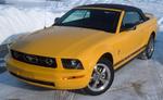 yellow pony package