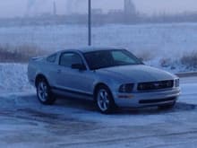 My first mustang