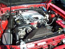 Mustang head gasket repair completed, Installed all new Ford racing gasket set w/graphite head gaskets for high performance applications, motor is currently a stock 1988 5.0 HO, Polished intake completed in 22 hrs
June/10