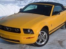 yellow pony package