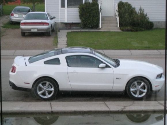 2011 mustang