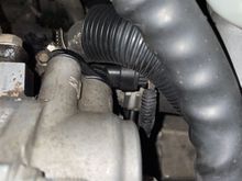 It appears to be plugged in, would you agree?