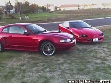 stang and camaro