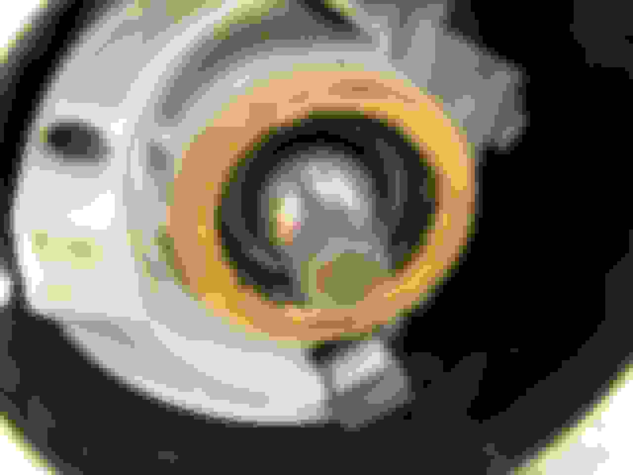 C2 How do I Remove the Steering Column Escutcheon? CorvetteForum