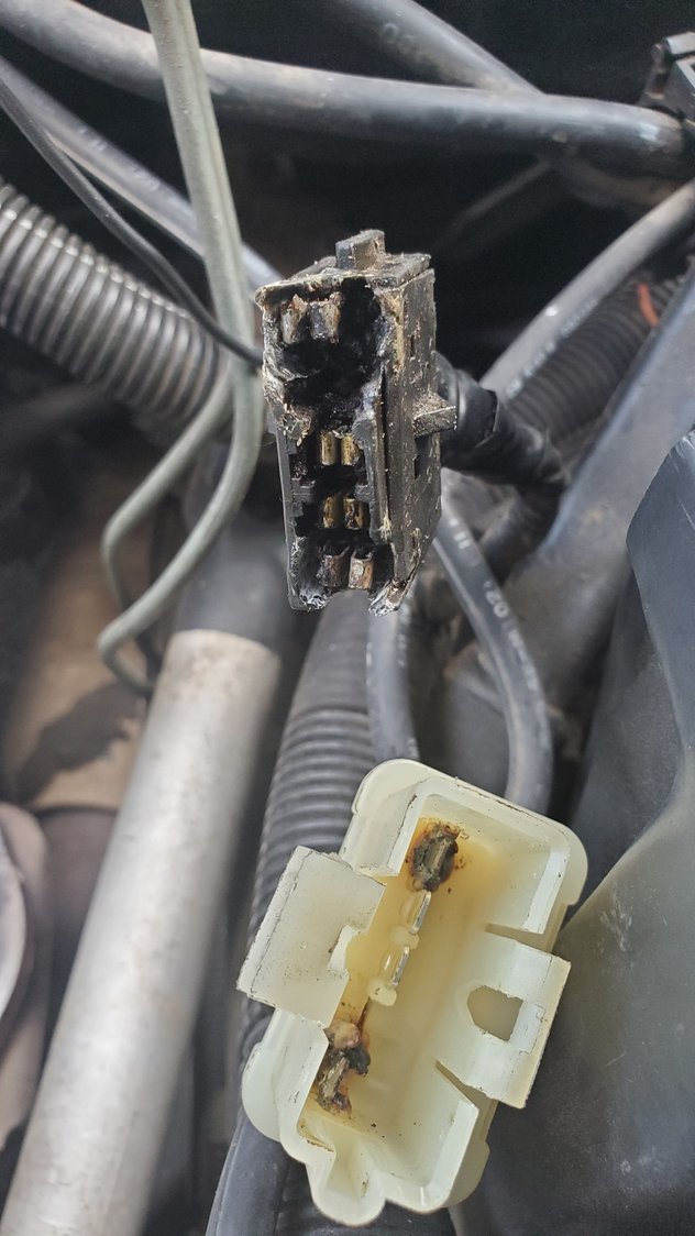 86 Fan Relay Pigtail? CorvetteForum Chevrolet Corvette Forum Discussion