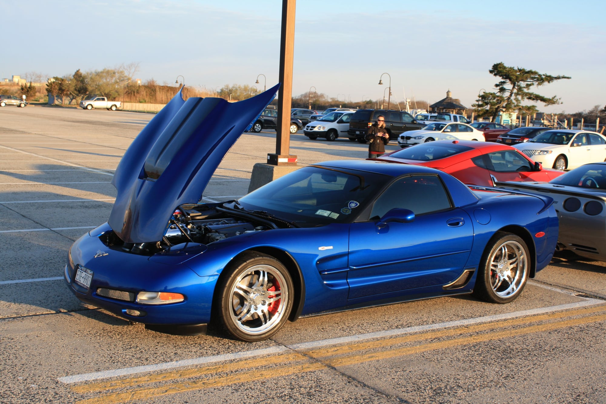 Fs For Sale 2003 Z06 Electron Blue Corvetteforum Chevrolet