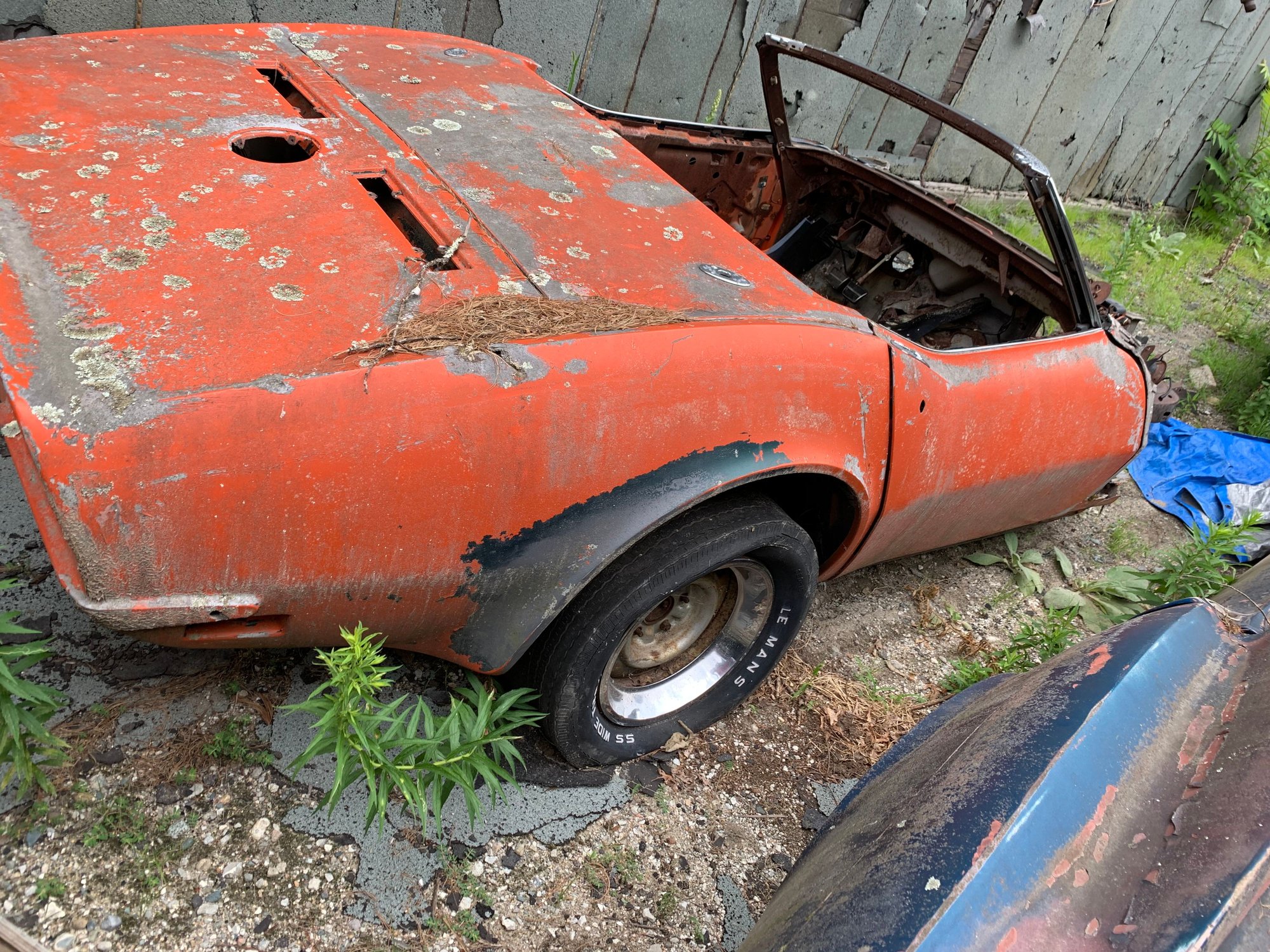 FS (For Sale) C3 Body and Bird Cage CorvetteForum Chevrolet