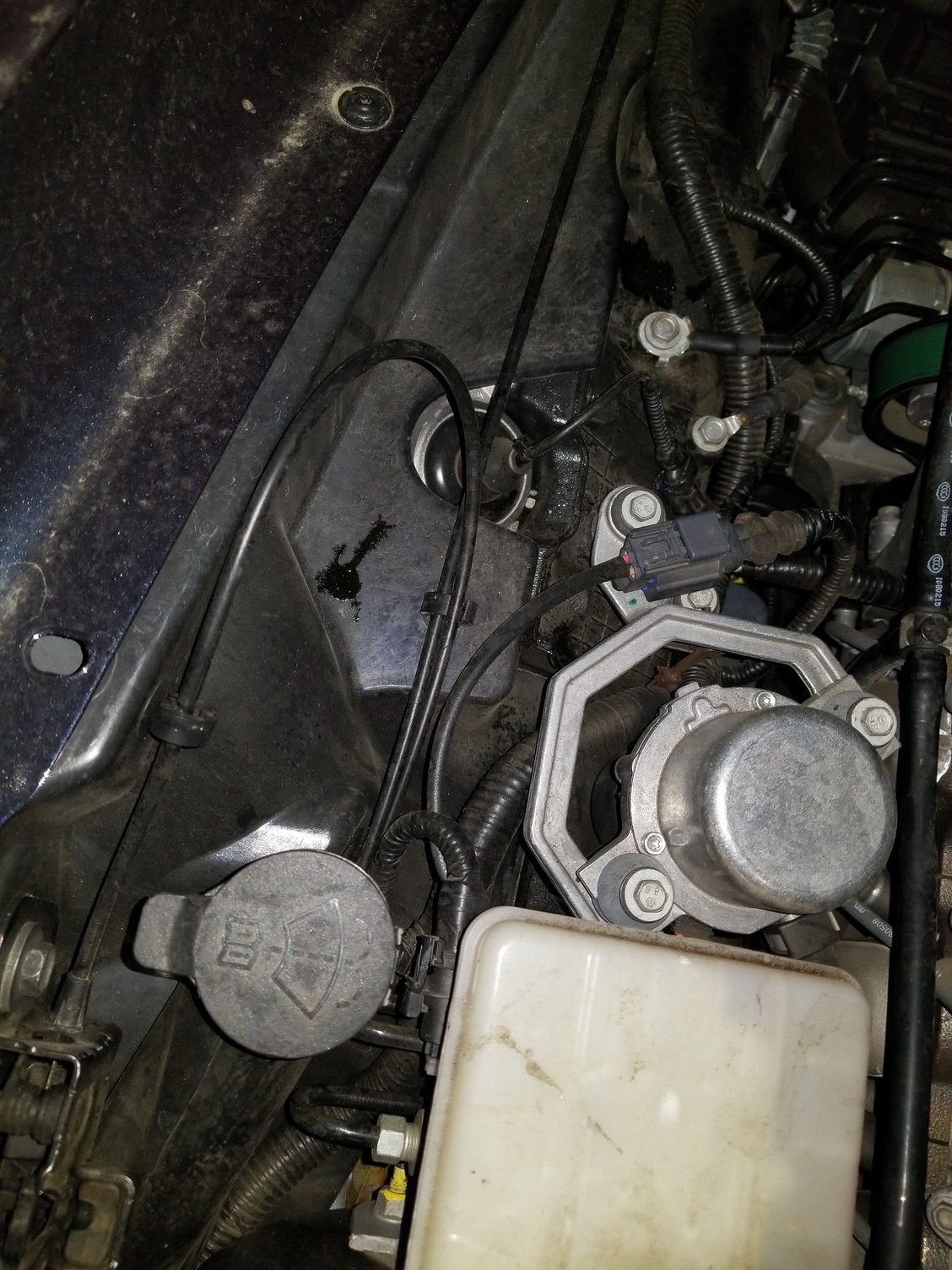 Oil spraying all over my engine compartment, anybody else had this