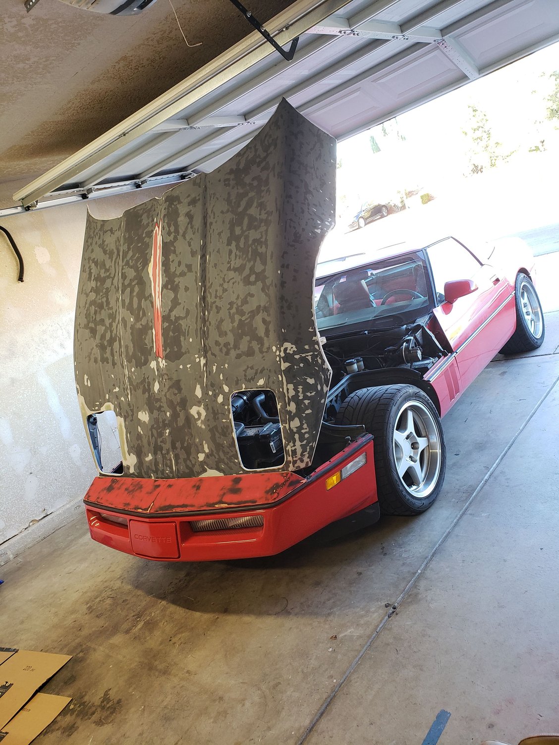 Hood SMC Crack Gouge Paint Repair Blend Clear Fiberglass Primer Sand ...