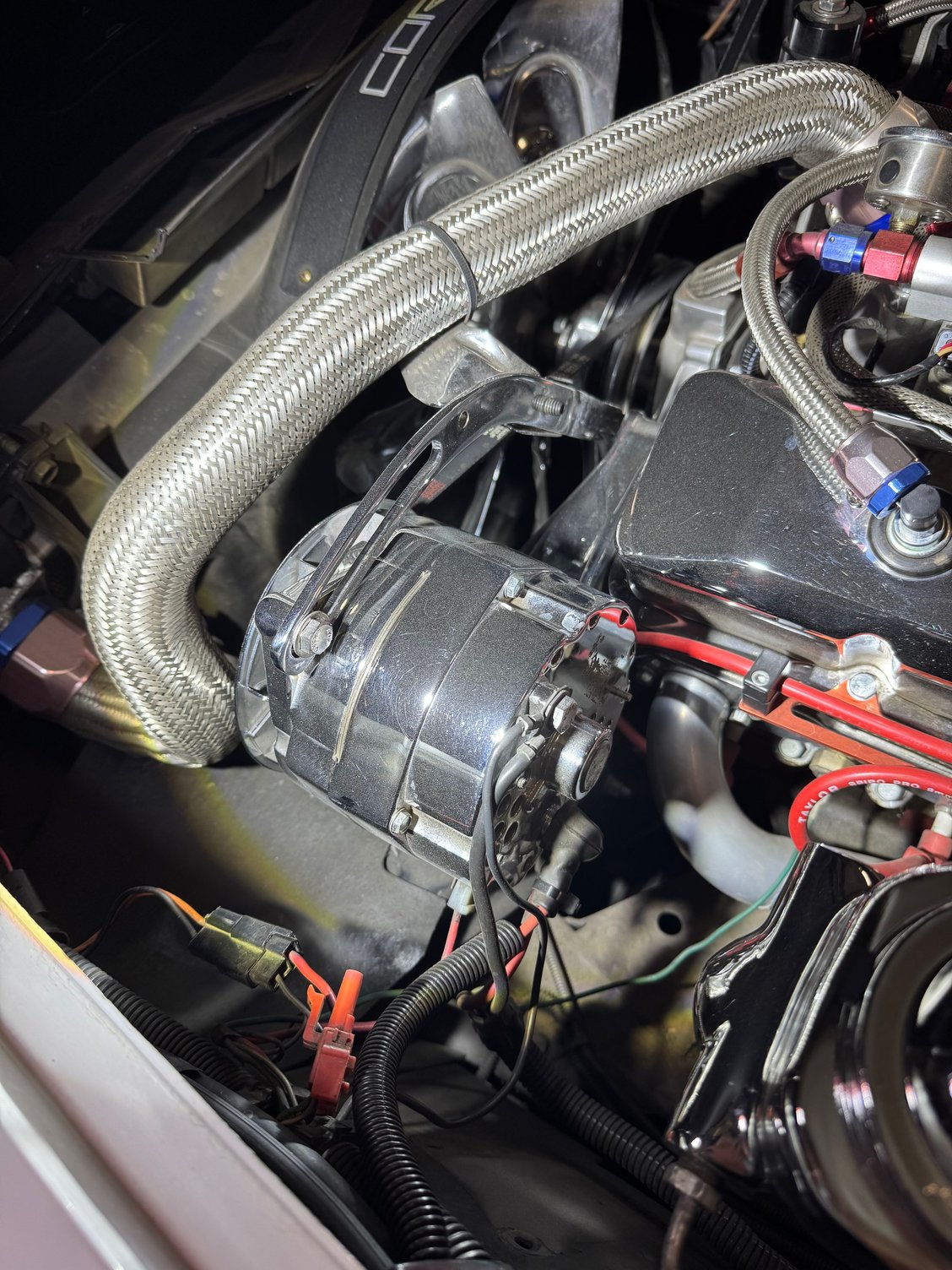 Didn�t start when hooked up to jump. I believe I need to remove this plate to access the alternator numbers