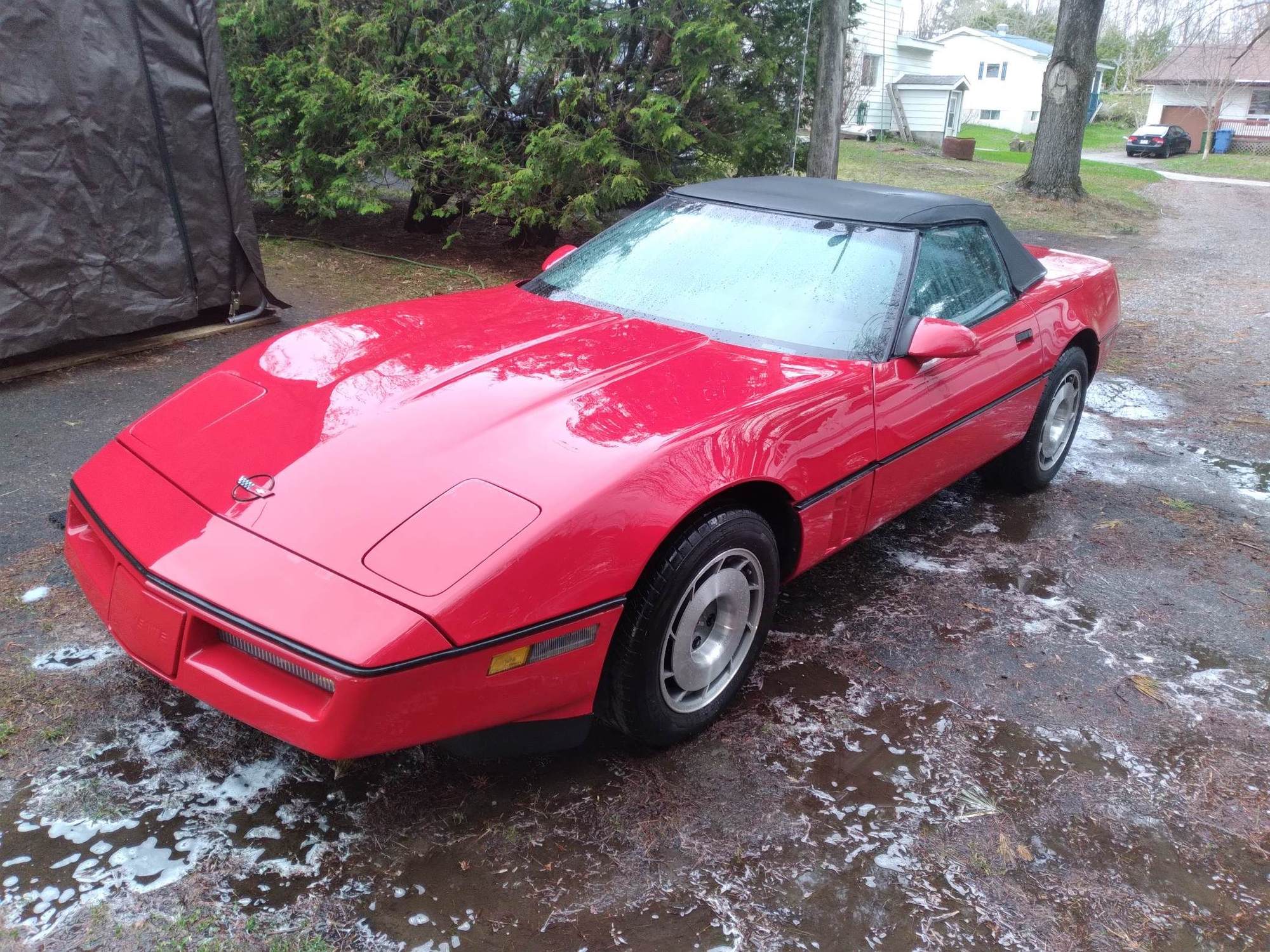 First ride ever - CorvetteForum - Chevrolet Corvette Forum Discussion
