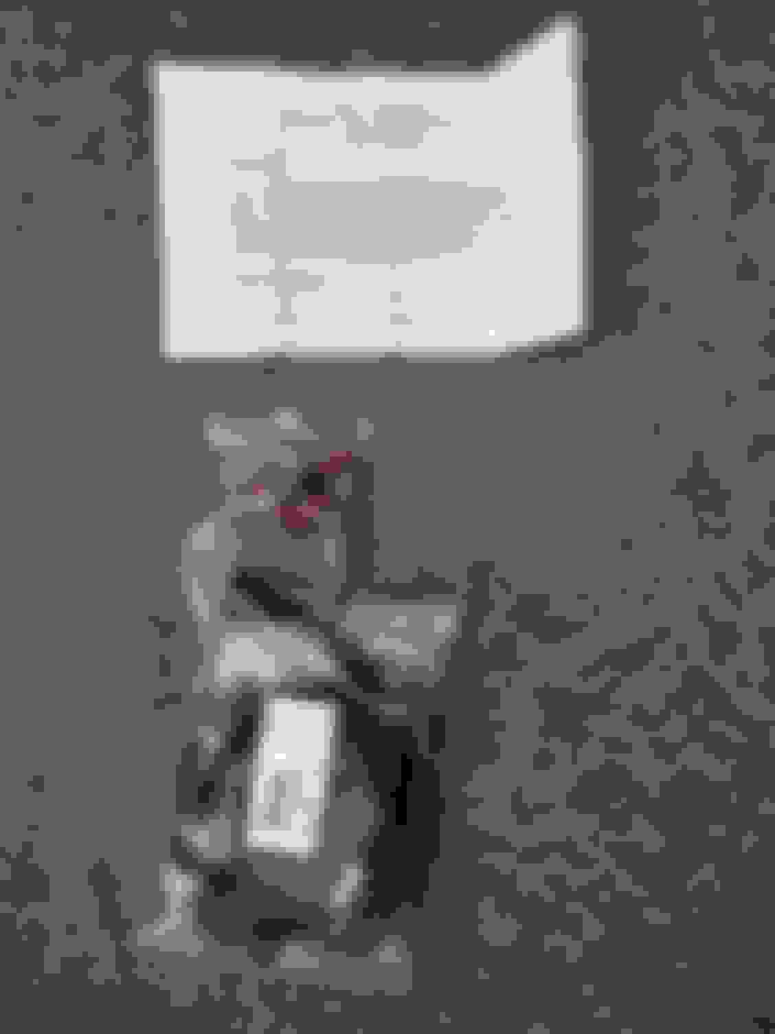 FS (For Sale) GMP Parts Company Intake Air Temp Sensor Relocation Kit