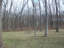 Wind raked back yard  - I don't have to do the 4th pass with the leaf vac.