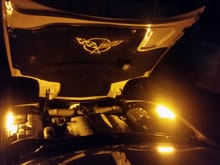 Added some amber L.E.D. Lighting to the engine bay for those night cruise in's