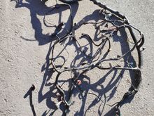 Engine harness
