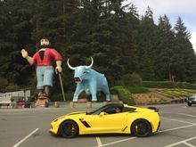Driving up Hwy 101 in northern CA.