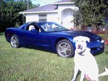Koda Guarding