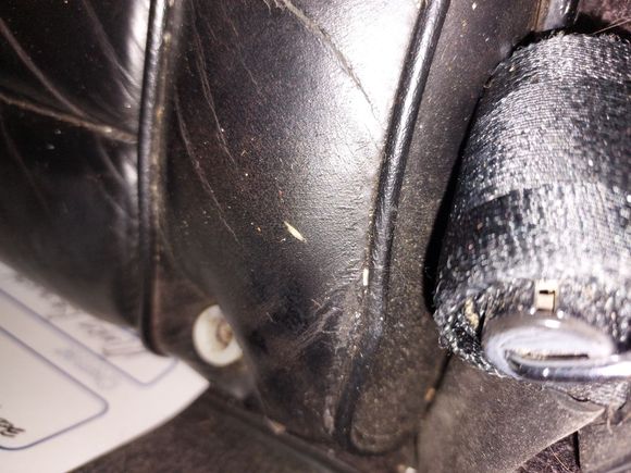 Plastic bumper on the seat bottom