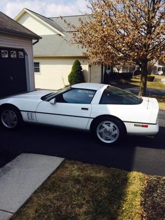 White  89