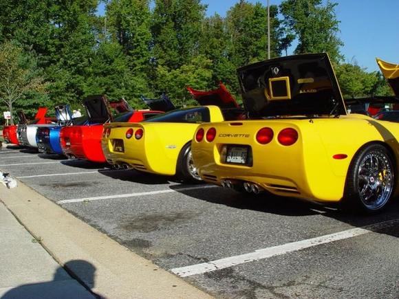 yellohhturtle1