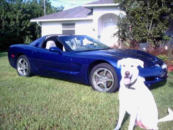 Koda Guarding